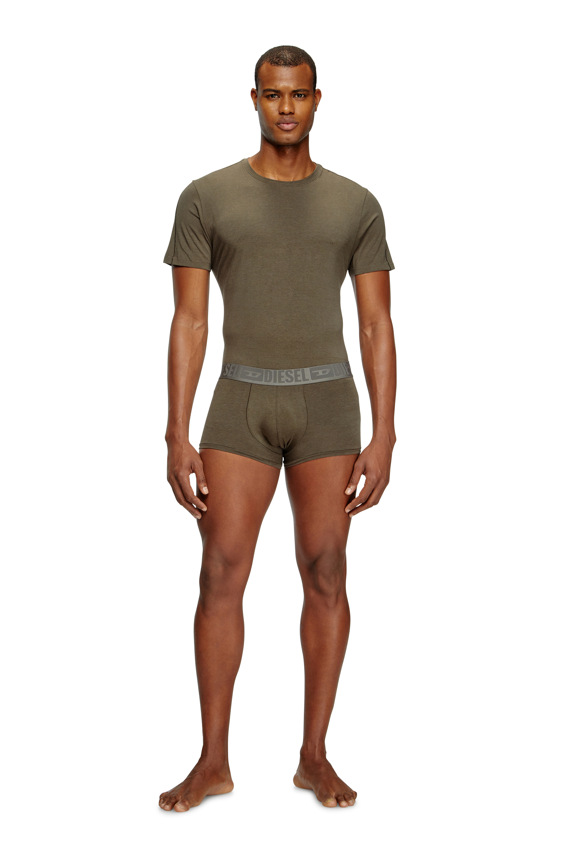Diesel - RANDAL-D-MONO-2PACK, Lot de 2 T-shirts en jersey fluide Homme in Polychrome - 3
